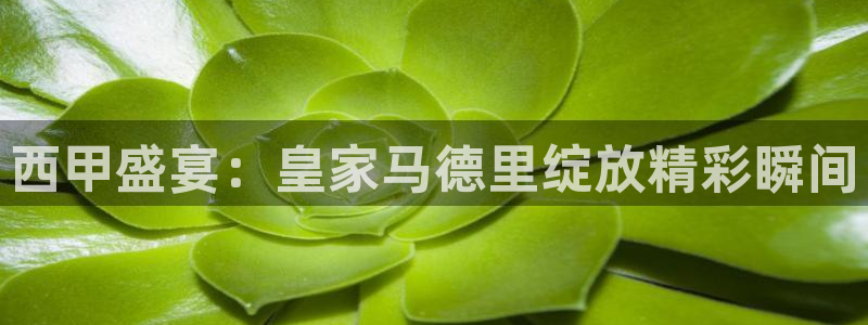乐球直播nba：西甲盛宴：皇家马德里绽放精彩瞬间