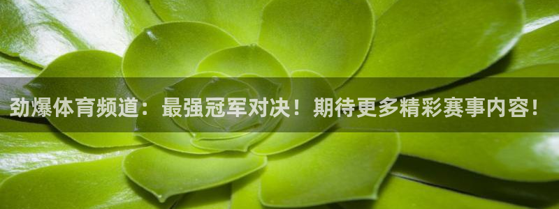 乐球直播无插件观看：劲爆体育频道：最强冠军对决！期待更多精彩赛事内容！