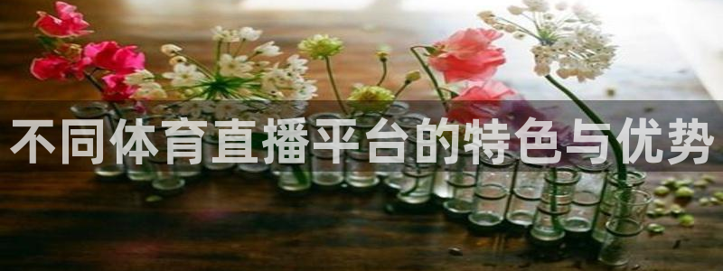 乐球直播免费观看高清版2023：不同体育直播平台的特色与优势