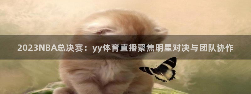 乐球直播免费观看入口：2023NBA总决赛：yy体育直播聚焦明星对决与团队协作