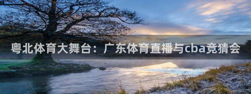 乐球直播nba在线观看免费