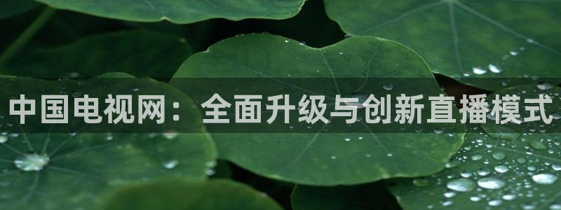 乐球吧体育直播nba直播：中国电视网：全面升级与创新直播模式
