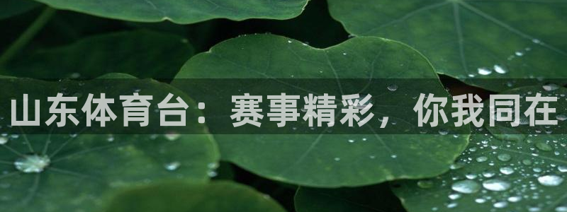 乐球直播安卓版下载：山东体育台：赛事精彩，你我同在