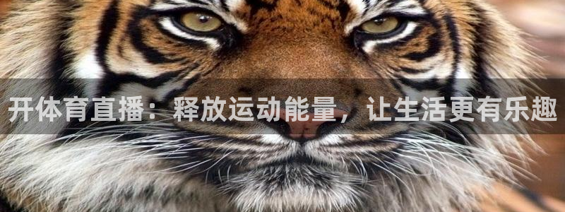 乐球直播乐球tv