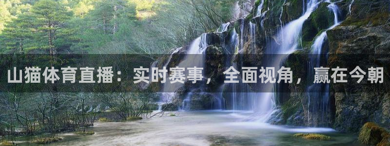 乐球直播高清：山猫体育直播：实时赛事，全面视角，赢在今朝