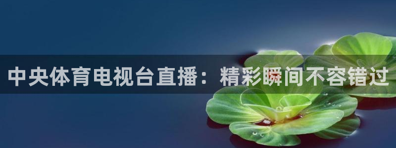 乐球直播怎么免费看：中央体育电视台直播：精彩瞬间不容错过