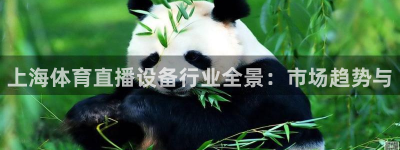 乐球吧jrs直播吧：上海体育直播设备行业全景：市场趋势与