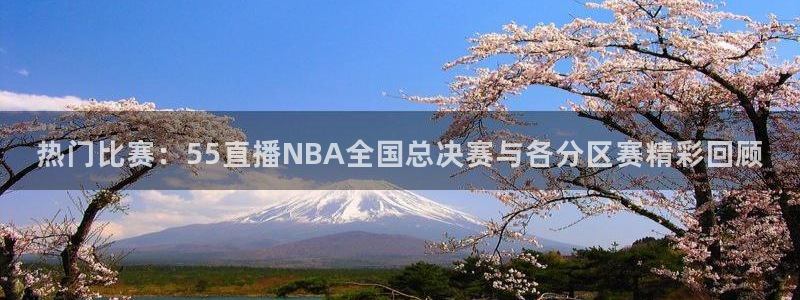 乐球吧直播 在线看球