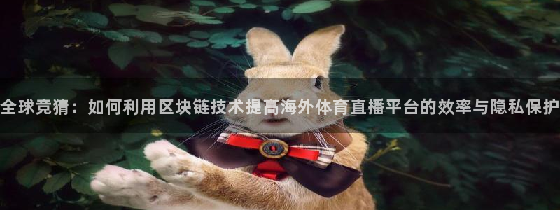 乐球直播：全球竞猜：如何利用区块链技术提高海外体育直播平台的效率与隐私保护