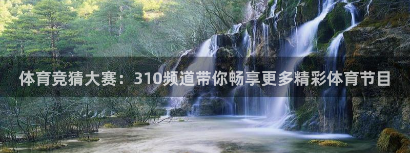 jrs直播乐球吧直播：体育竞猜大赛：310频道带你畅享更多精彩体育节目