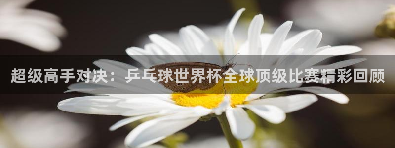 乐球直播免费直播